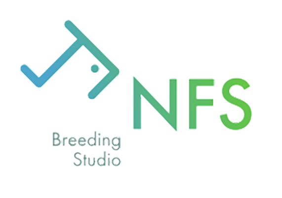 NFS Breeding Studio